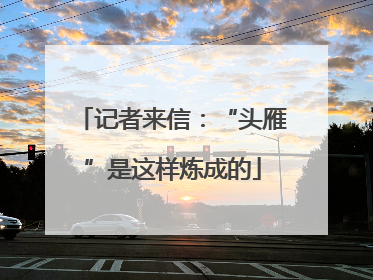 记者来信：“头雁”是这样炼成的