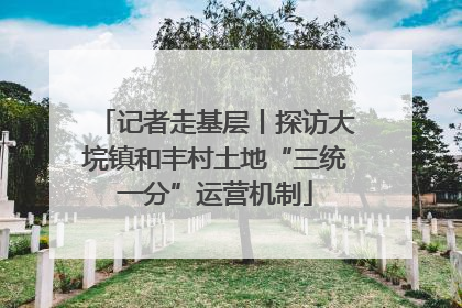 记者走基层丨探访大垸镇和丰村土地“三统一分”运营机制