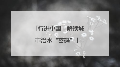 行进中国丨解锁城市治水“密码”