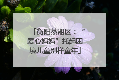 衡阳蒸湘区：“爱心妈妈”托起困境儿童别样童年