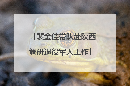 裴金佳带队赴陕西调研退役军人工作
