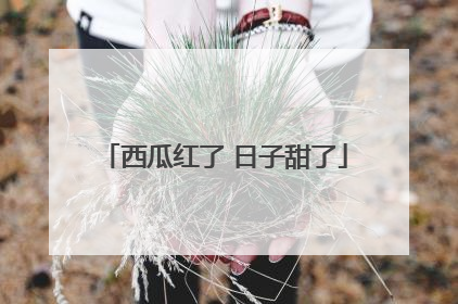 西瓜红了 日子甜了