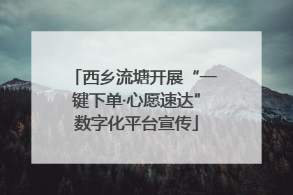 西乡流塘开展“一键下单·心愿速达”数字化平台宣传