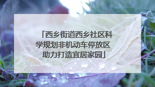西乡街道西乡社区科学规划非机动车停放区 助力打造宜居家园