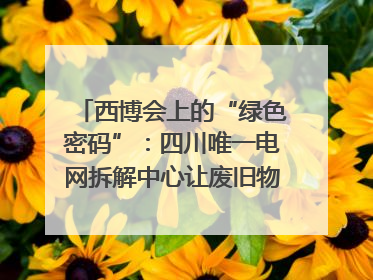 西博会上的“绿色密码”：四川唯一电网拆解中心让废旧物资“重生”｜西博寻“新”记