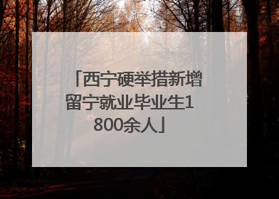 西宁硬举措新增留宁就业毕业生1800余人