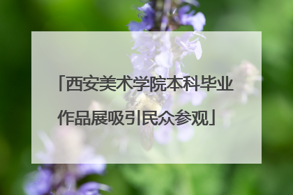 西安美术学院本科毕业作品展吸引民众参观