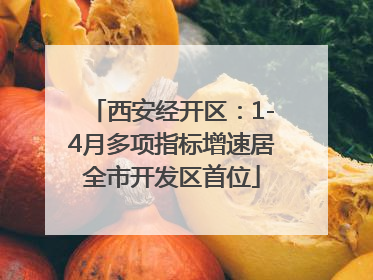 西安经开区：1-4月多项指标增速居全市开发区首位