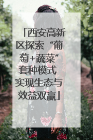西安高新区探索“葡萄+蔬菜”套种模式 实现生态与效益双赢