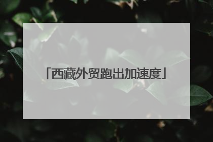西藏外贸跑出加速度