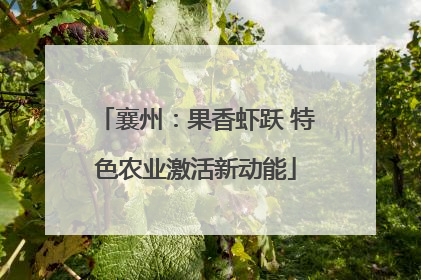襄州：果香虾跃 特色农业激活新动能