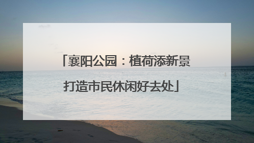 襄阳公园：植荷添新景 打造市民休闲好去处