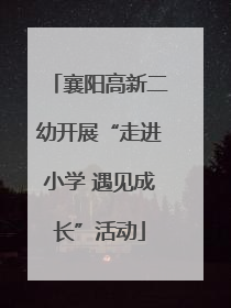襄阳高新二幼开展“走进小学 遇见成长”活动