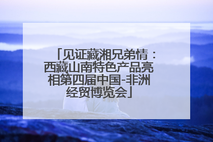见证藏湘兄弟情：西藏山南特色产品亮相第四届中国-非洲经贸博览会