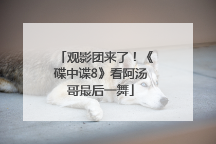 观影团来了！《碟中谍8》看阿汤哥最后一舞