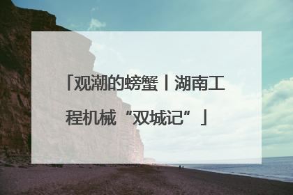 观潮的螃蟹丨湖南工程机械“双城记”