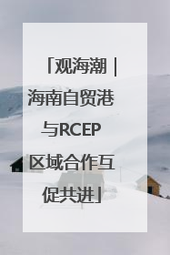观海潮｜海南自贸港与RCEP区域合作互促共进