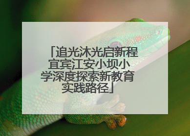 追光沐光启新程 宜宾江安小坝小学深度探索新教育实践路径