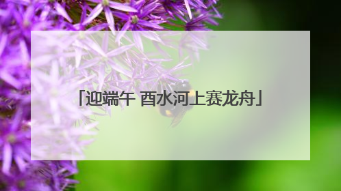 迎端午 酉水河上赛龙舟