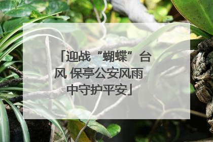 迎战“蝴蝶”台风 保亭公安风雨中守护平安