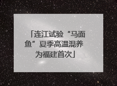 连江试验“马面鱼”夏季高温混养 为福建首次