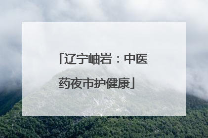 辽宁岫岩：中医药夜市护健康