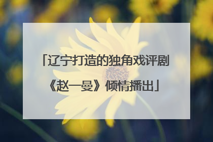 辽宁打造的独角戏评剧《赵一曼》倾情播出