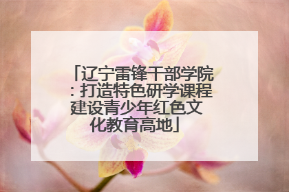 辽宁雷锋干部学院：打造特色研学课程 建设青少年红色文化教育高地