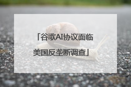 谷歌AI协议面临美国反垄断调查
