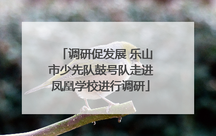 调研促发展 乐山市少先队鼓号队走进凤凰学校进行调研
