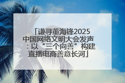谦寻董海锋2025中国网络文明大会发声：以“三个向善”构建直播电商善意长河