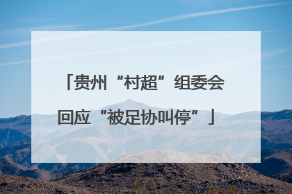 贵州“村超”组委会回应“被足协叫停”