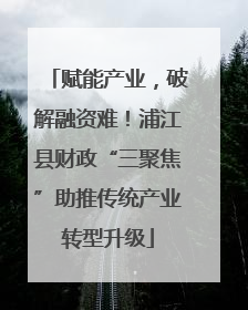 赋能产业，破解融资难！浦江县财政“三聚焦”助推传统产业转型升级