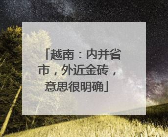 越南：内并省市，外近金砖，意思很明确