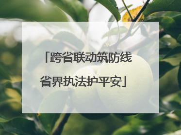 跨省联动筑防线 省界执法护平安
