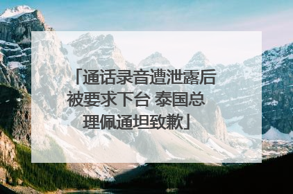 通话录音遭泄露后被要求下台 泰国总理佩通坦致歉