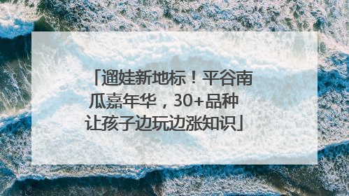 遛娃新地标！平谷南瓜嘉年华，30+品种让孩子边玩边涨知识