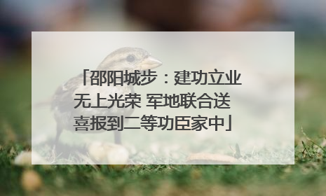 邵阳城步：建功立业无上光荣 军地联合送喜报到二等功臣家中