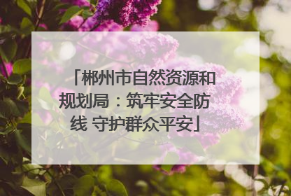郴州市自然资源和规划局：筑牢安全防线 守护群众平安