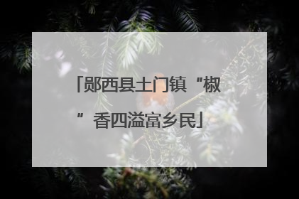 郧西县土门镇“椒”香四溢富乡民