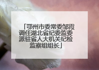 鄂州市委常委邹霞调任湖北省纪委监委派驻省人大机关纪检监察组组长