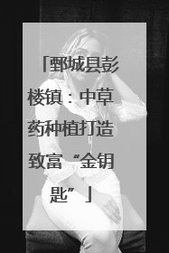 鄄城县彭楼镇：中草药种植打造致富“金钥匙”