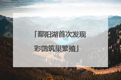 鄱阳湖首次发现彩鹮筑巢繁殖