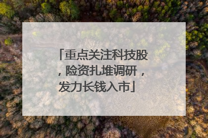 重点关注科技股，险资扎堆调研，发力长钱入市