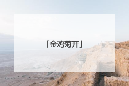 金鸡菊开