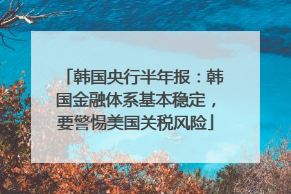 韩国央行半年报：韩国金融体系基本稳定，要警惕美国关税风险