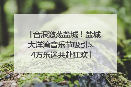 音浪激荡盐城！盐城大洋湾音乐节吸引5.4万乐迷共赴狂欢