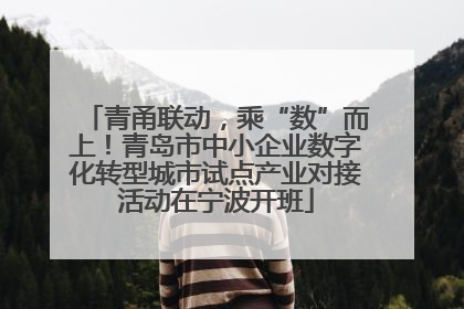 青甬联动，乘“数”而上！青岛市中小企业数字化转型城市试点产业对接活动在宁波开班