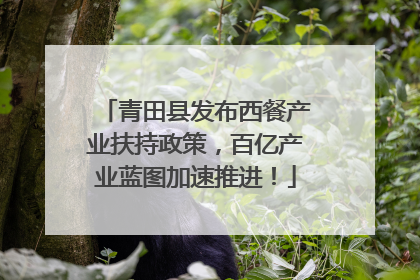 青田县发布西餐产业扶持政策，百亿产业蓝图加速推进！