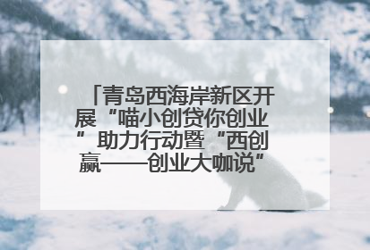 青岛西海岸新区开展“喵小创贷你创业”助力行动暨“西创赢——创业大咖说”主题活动